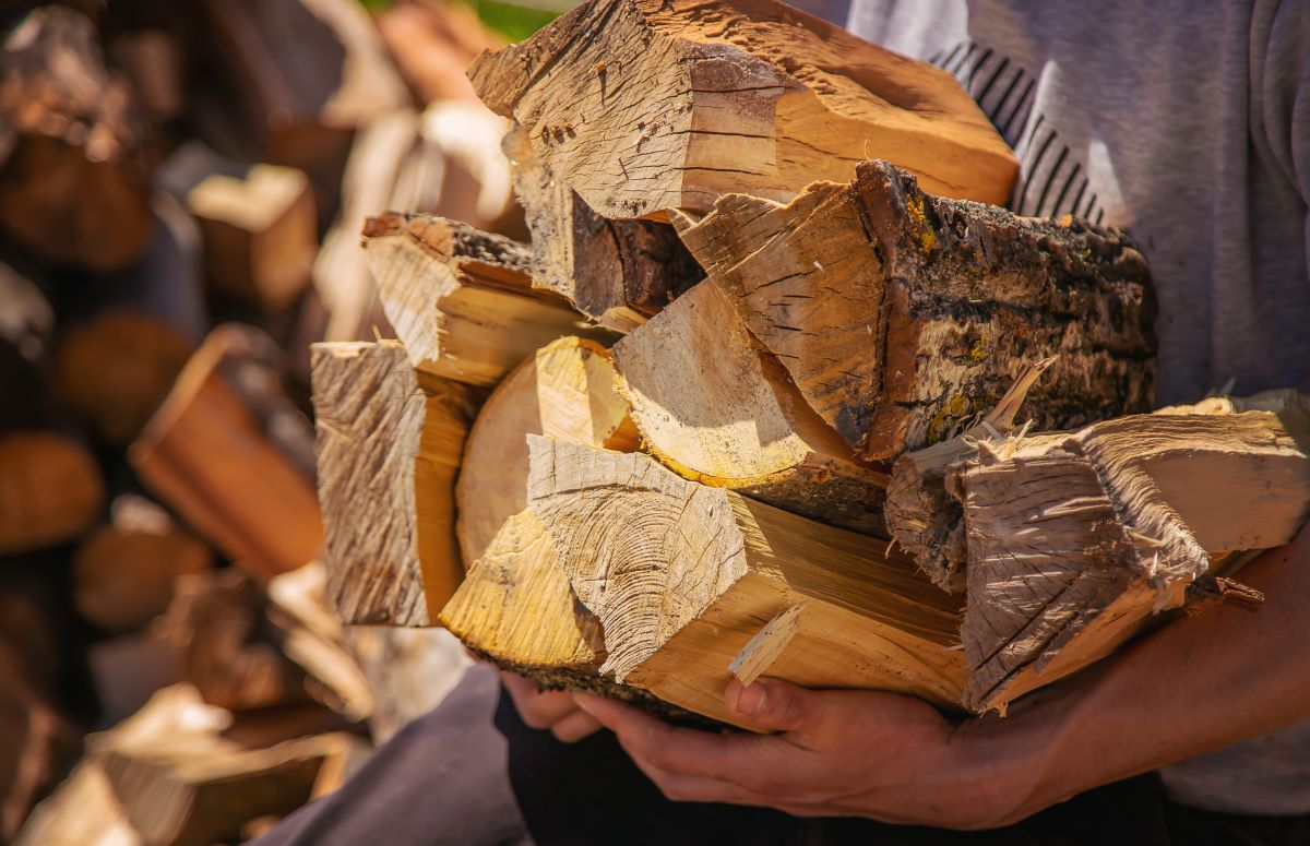 Kaminholz im Wandel der Zeit