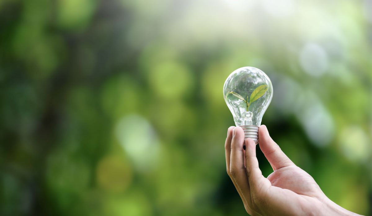 Energiesparen im Haushalt – 10 wirksame Maßnahmen