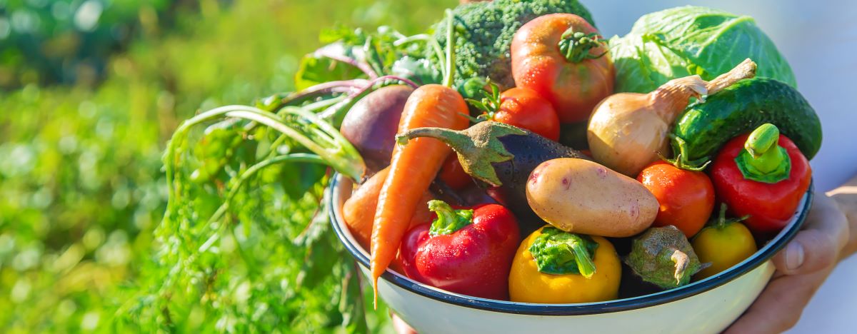 Saisonkalender Deutschland | Obst & Gemüse nach Jahreszeit