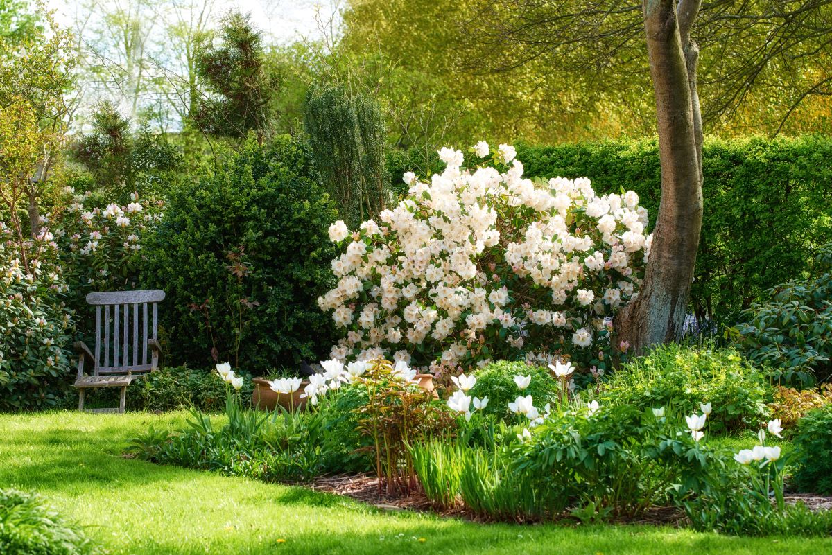 Ruhe im eigenen Garten — So schaffst du dir deinen persönlic