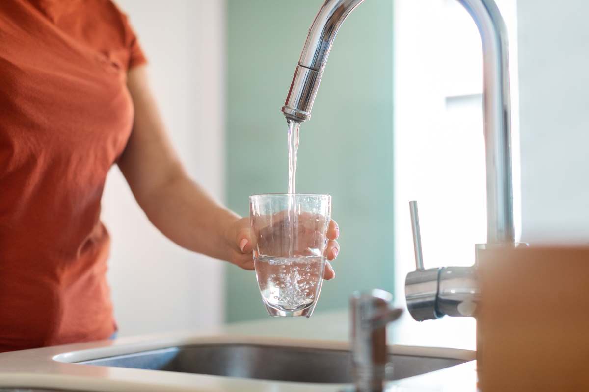 Trinkwasser im Harz: Herkunft, Qualität und die Frage nach d